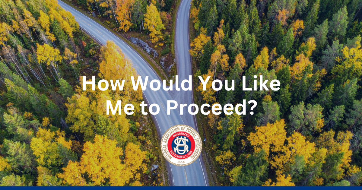 How Would You Like Me to Proceed?