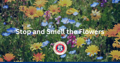 Thumbnail for Stop and Smell the Flowers